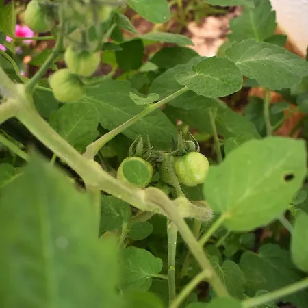 Luna House Σπίτι διακοπών *