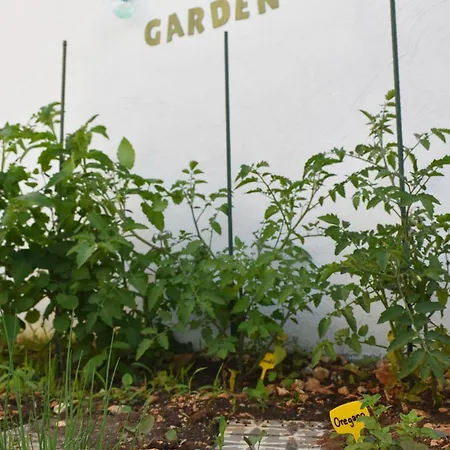 Σπίτι διακοπών Luna House *